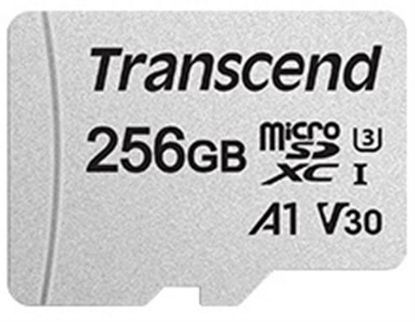  Зображення Карта пам'яті Transcend microSD 256GB C10 UHS-I R100/W40MB/s + SD 